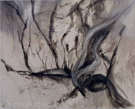 l'arbre cass�