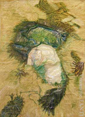 laisse de mer 1