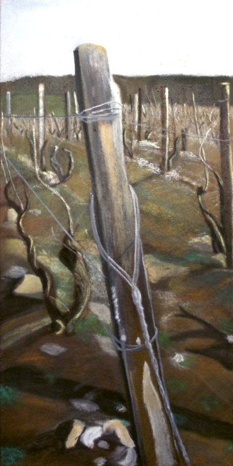 la vigne 4